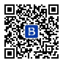 BRIDCY 微信二维码